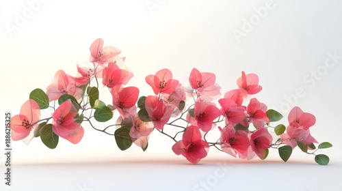 A stunning 3D rendering of a thriving bougainvillea plant set against a minimalist white background, capturing the plant's dynamic growth and abundance of vibrant blossoms. The flowers are
