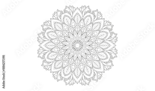 Circular floral mandala outline vector for adult coloring page isolated on transparent background