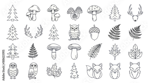 Whimsical Forest Icons: Hand-Drawn Trees, Mushrooms, Owls, Foxes, Ferns, and Acorns