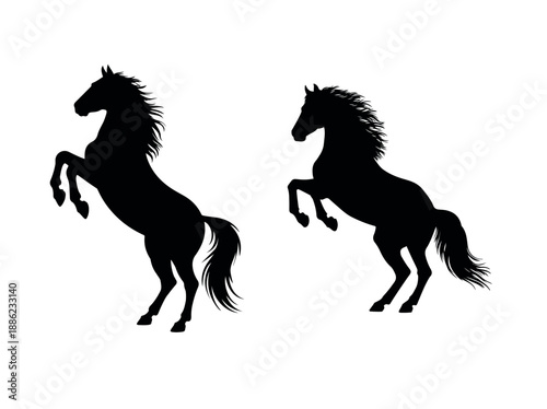 Two rearing horse silhouettes different poses black color on transparent background