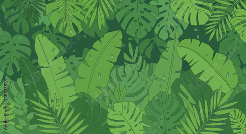 Overhead View of Dense Green Texture in Natural Forest Setting