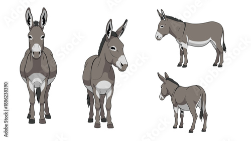Donkey Illustrations - Cartoon Farm Animal Poses