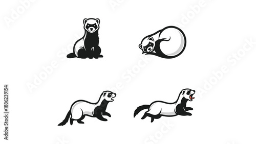 Ferret Illustrations: Standing, Sleeping, Running - Vector Set