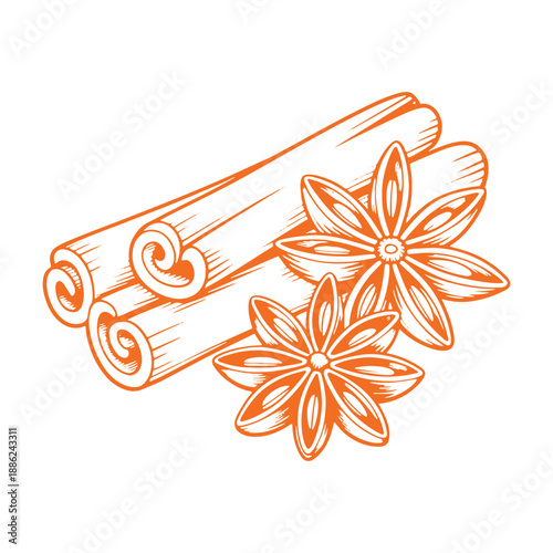  Hand-drawn cinnamon sticks and star anise vector illustration in terracotta orange minimalist line art sketch style for organic packaging.