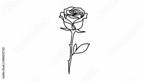 Single line drawing of a beautiful rose flower with stem and leaves.