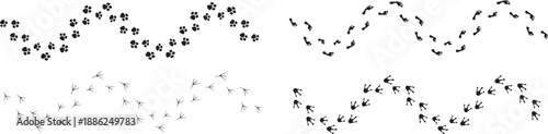 Animal footprint trail illustrations showing paw prints, bird tracks, and walking step paths. Curved movement patterns suggest travel, direction, and nature tracking in a minimal style. Perfect 