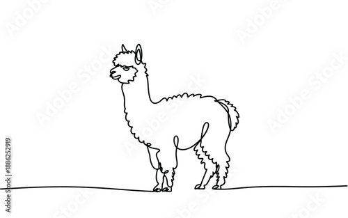 One Line Drawing of a Fluffy Alpaca Standing Minimalist Animal Illustration