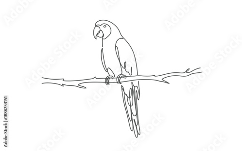 Single line drawing of a parrot bird perched on a branch