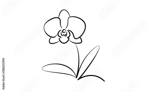Clean minimalist one line drawing of an orchid flower with long leaves and stem