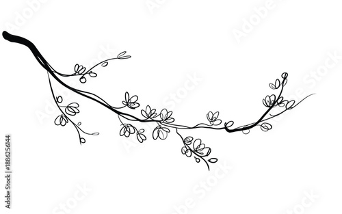 Minimalist continuous line illustration of a flowering branch for organic cosmetic branding