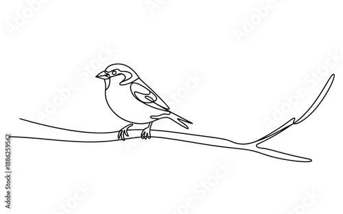 Minimalist Bird on Tree Branch Continuous One Line Drawing