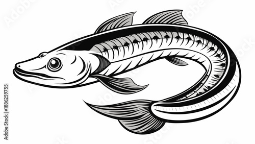 Illustrated sturgeon fish