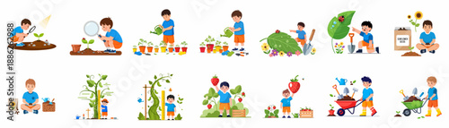 Cute little boy engaged in diverse gardening tasks, including planting seeds, watering plants, observing nature, and measuring vegetable growth.