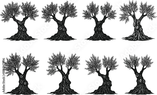 Olive tree illustration set, black and white botanical art, gnarled trunk design, dense leaf canopy, nature-inspired tree drawing, textured bark pattern, graphic foliage collection