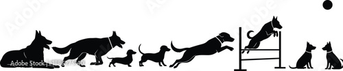 Dog training and agility vector silhouette set featuring various breeds jumping sitting and running for canine obedience schools pet care services and animal behavior illustrations