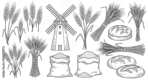 Hand Drawn Cereal Grain Icons with Wheat Ears and Rye Stems