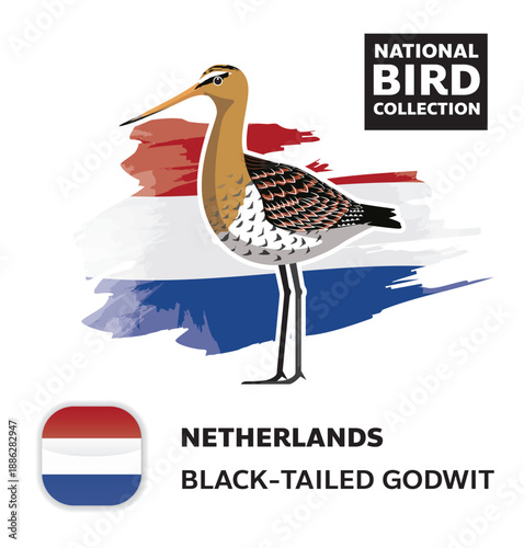 National Bird Set Netherlands Black-Tailed Godwit Vector Character