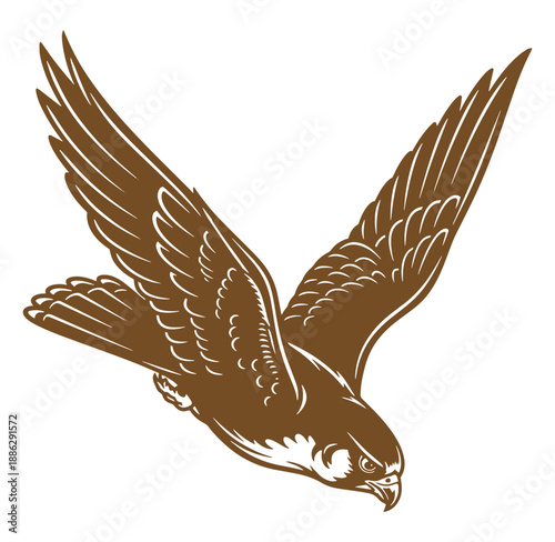 Brown flying bird with spread wings in mid air motion  dynamic animal illustration