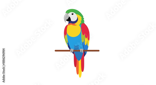 A vibrant parrots perches on a branch against a clean white background with a pop of colorful feathers.