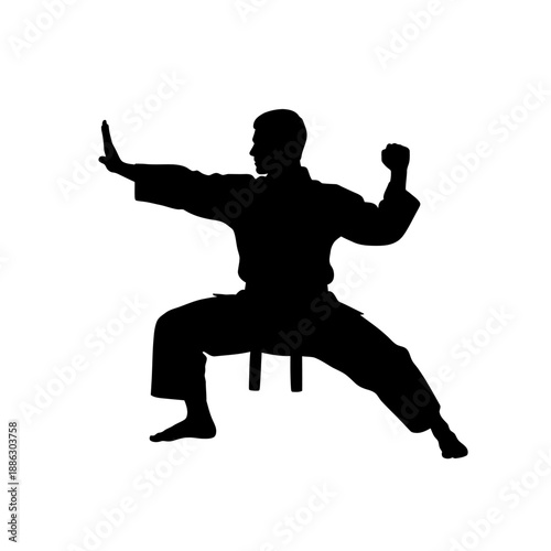 Kung Fu Master Pose Black Silhouette Martial Arts Vector Illustration