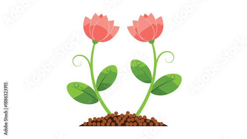 Pink flower plants illustration, decorative garden blossom design, green leaves with water drops, nature and spring concept, vector art
