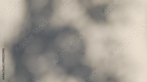 Zen Komorebi: Minimalist Tree Branch Shadow on Neutral Wall Background Serene and Tranquil Atmosphere