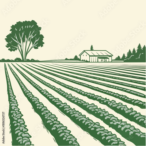 Minimal farmland with geometric crop lines.