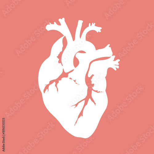 Artistic anatomical heart silhouette in minimal flat style on coral background, modern abstract concept symbolizing love, life, emotion and human connection