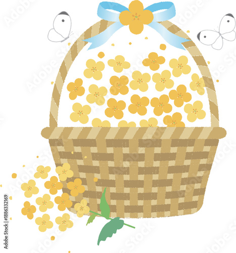 Rapeseed Blossoms and Butterflies Illustration. Cute Yellow Flowers with Cabbage White Butterflies