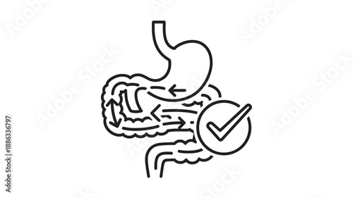 a simple line drawing of a human digestive system with a checkmark high quality professional detailed