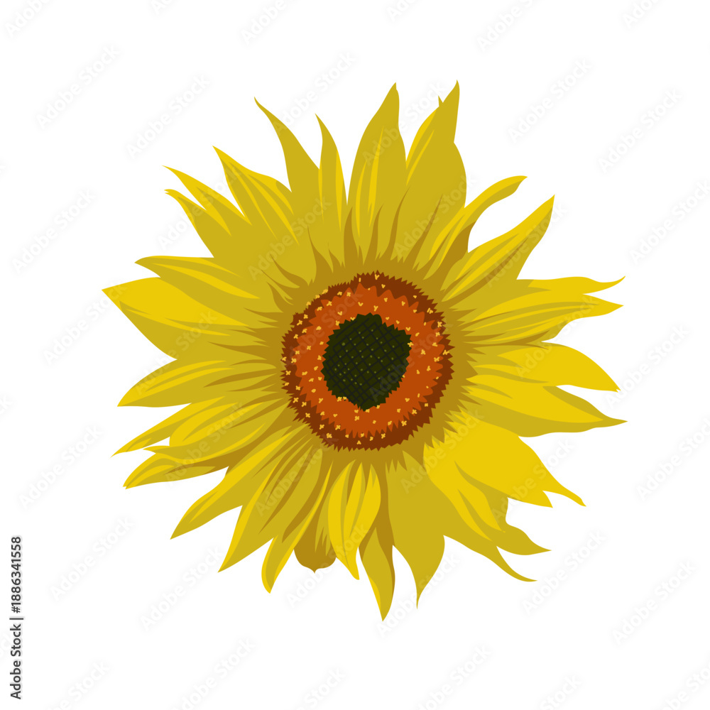 Naklejka premium sunflower isolated on white background