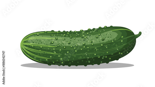 Single green bumpy cucumber with small prickles on its skin lies horizontally against a plain white background.