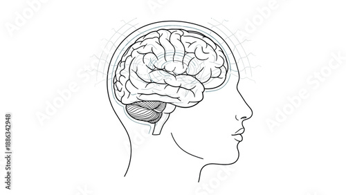 Human head profile reveals a detailed brain structure with radiating signal waves representing mental activity and cognitive functions.