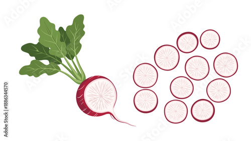 Fresh red radish with green leafy tops and multiple thin circular slices arranged on a white background for healthy food concepts.