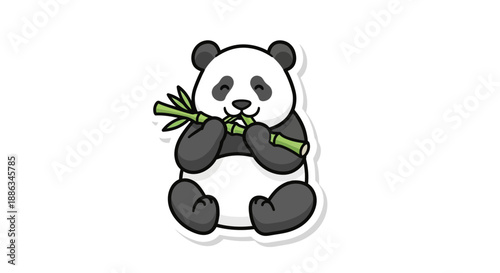 Cute panda eating bamboo