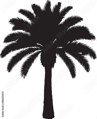 Black and white artwork featuring a palm tree, highlighting its elegant fronds and sturdy trunk in a minimalist style
