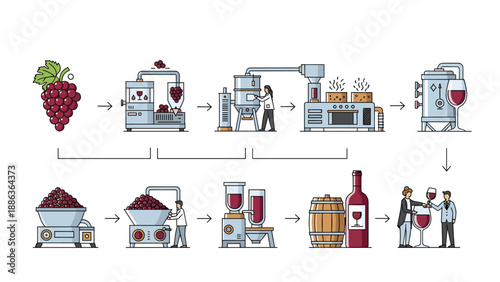 Detailed infographic illustrates the traditional winemaking process from harvesting fresh grapes to fermentation and final bottle tasting.