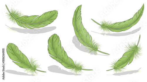 Elegant collection of light green bird feathers floats gently in the air with soft shadows against a clean white minimalist background.