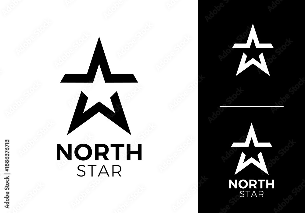 Obraz premium simple north star logo design concept