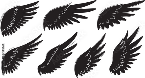 Black bird wings on white background