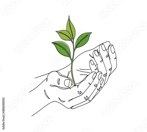 A delicate sprout held in a caring hand symbolizing growth and environmental stewardship