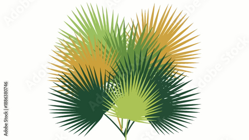 Palm Tree Leaves with Yellow Tips.