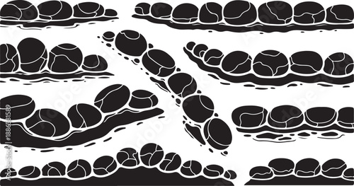 Black and white illustration of coffee beans in rows