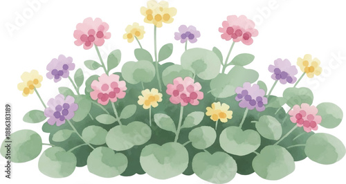 可愛い花の植物の水彩風イラスト