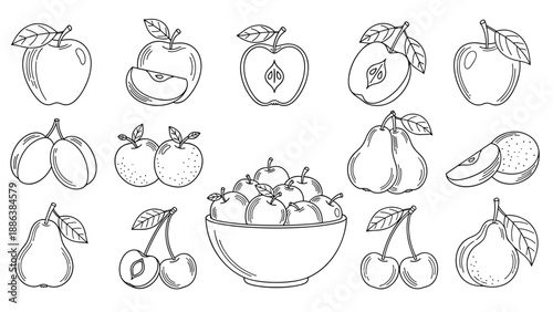 Assorted fruit line art collection presents detailed drawings of apples, pears, cherries, and plums in whole and halved views.