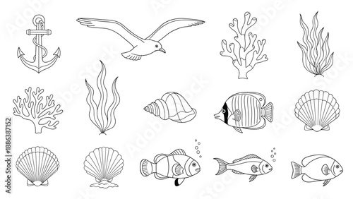 Nautical and marine collection featuring an anchor, a seagull, various corals, seaweeds, shells, and diverse fish species in black and white line art.