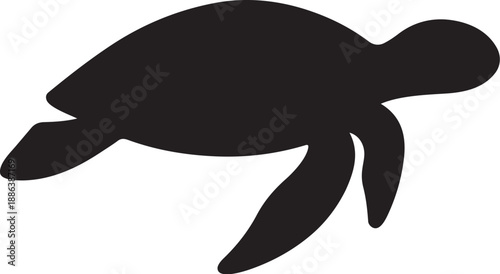 vector illustration of a turtle