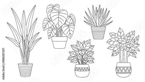 Set of five diverse potted houseplants including succulents and leafy varieties rendered in clean black and white line art for coloring.