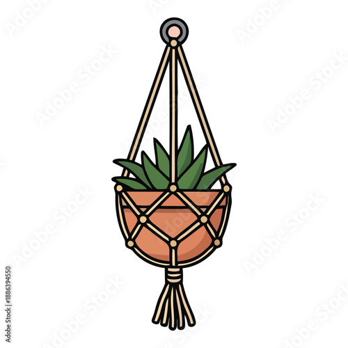 Boho macrame plant hanger holding a succulent plant, a charming addition to any home decor and bohemian-inspired interior designs