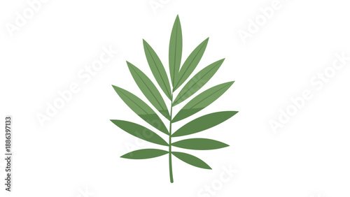 Green Leaf with Multiple Leaflets on Stem.